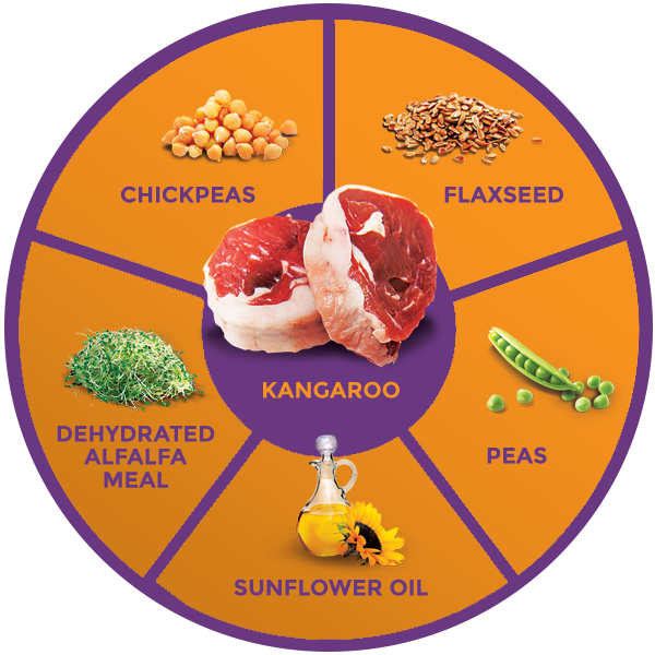 QUADRANT_KANGAROO